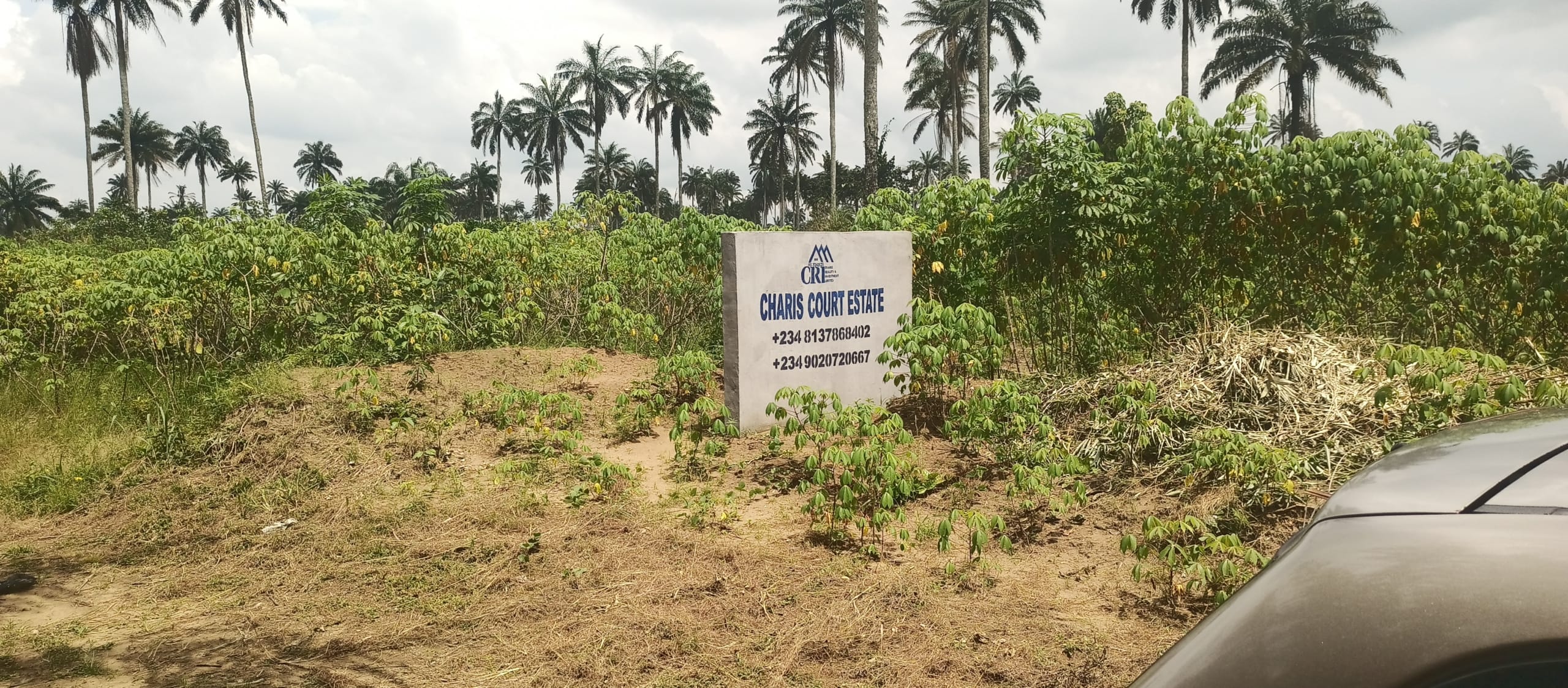 IMG_20241023_111456_056