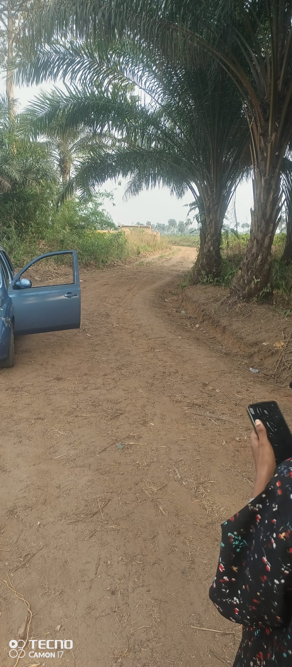 IMG_20250217_171125_627