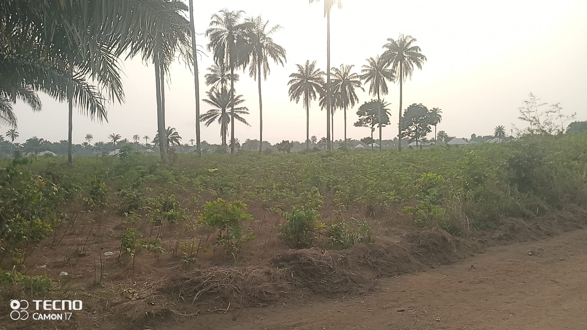 IMG_20250217_171220_3