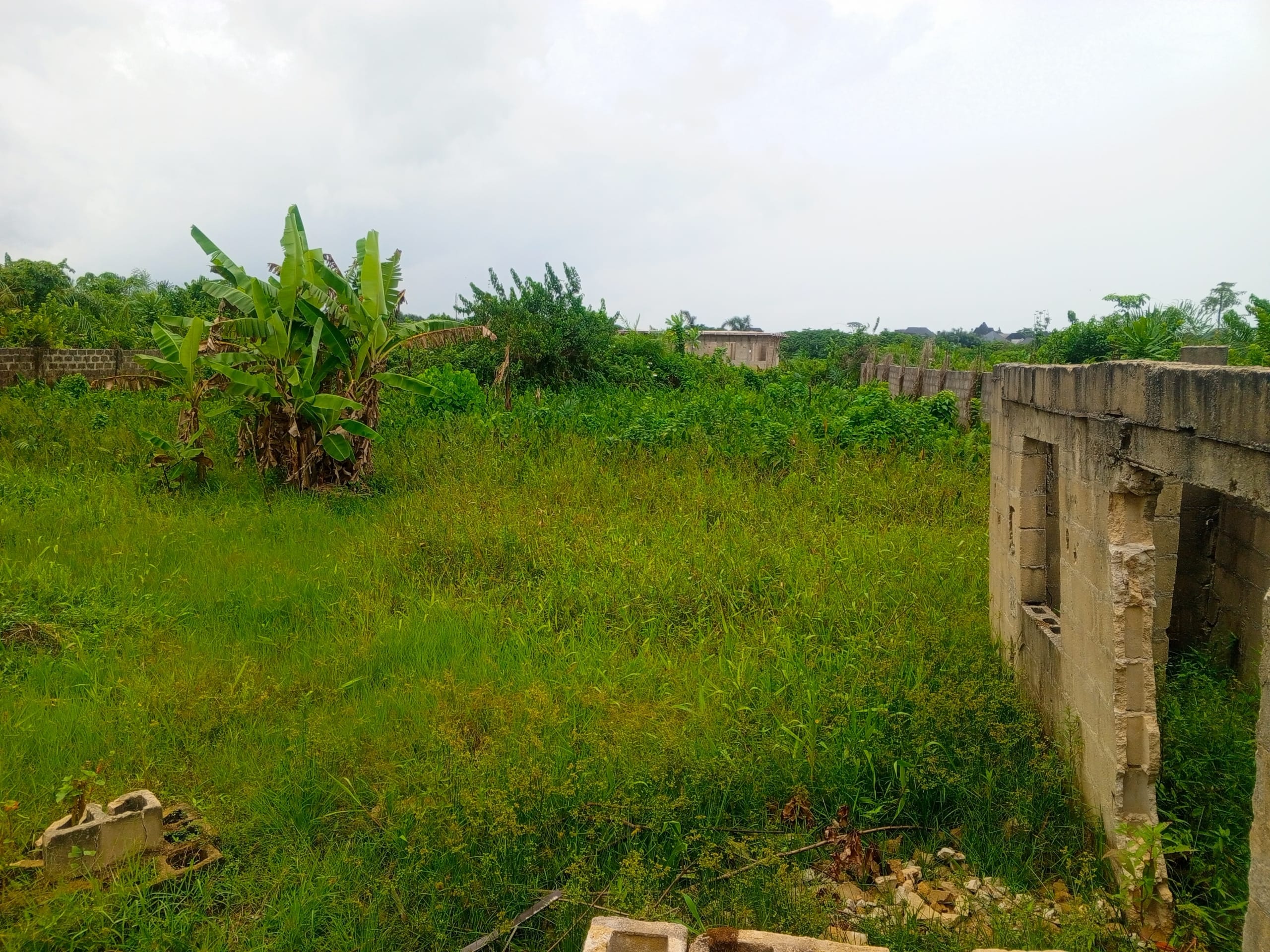 IMG_20250505_122639_912