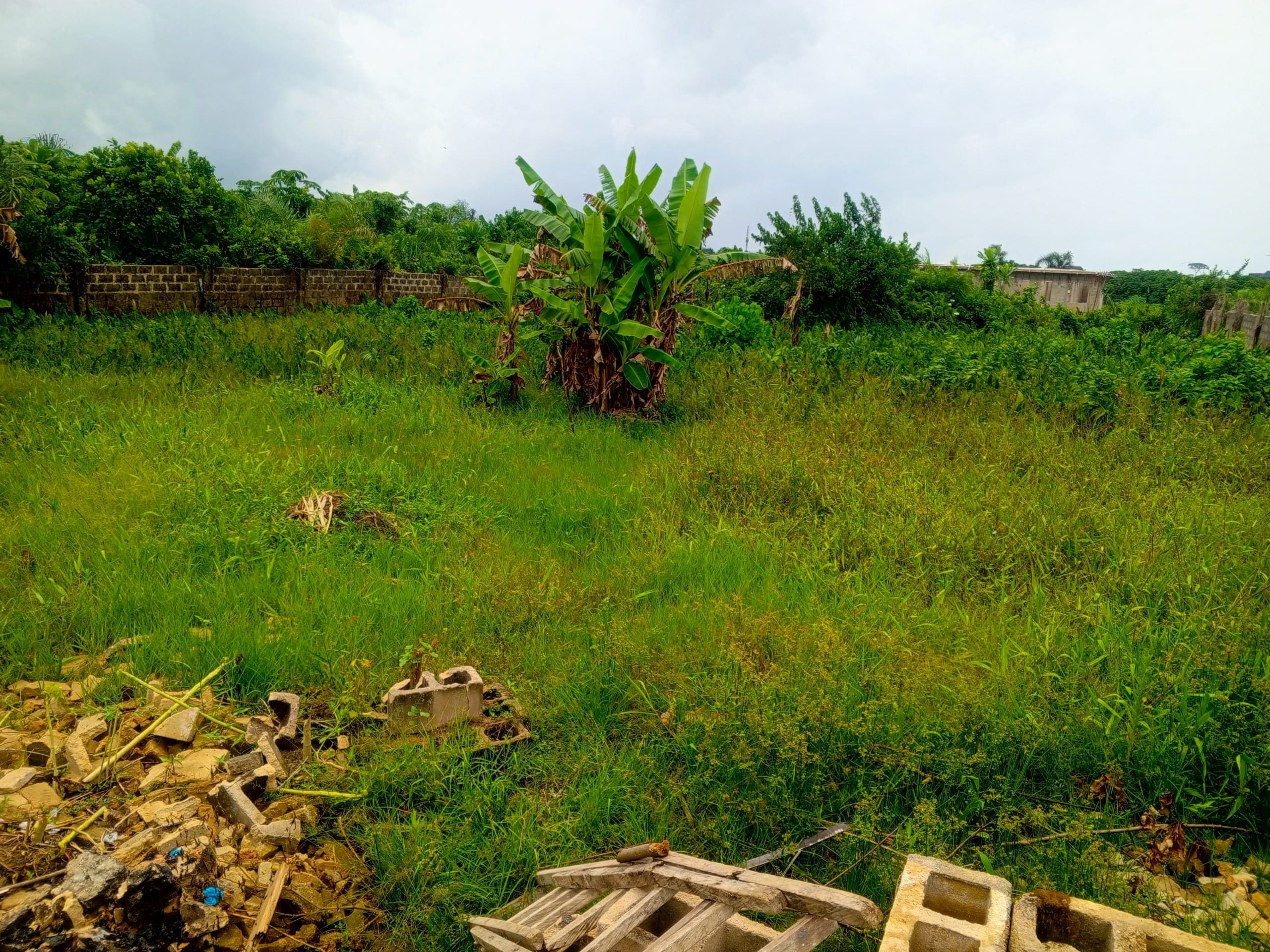 IMG_20250505_122655_250