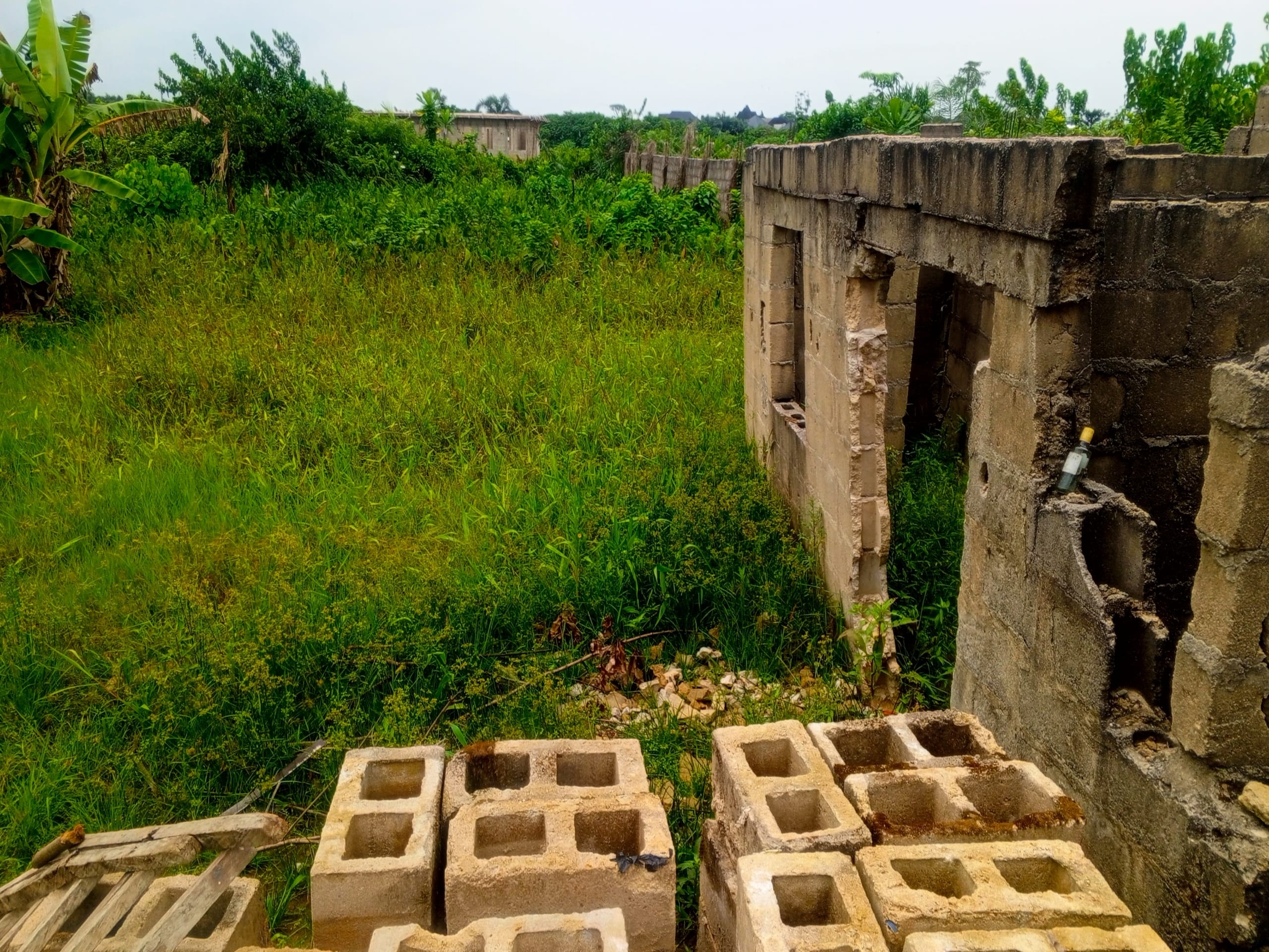 IMG_20250505_122659_565