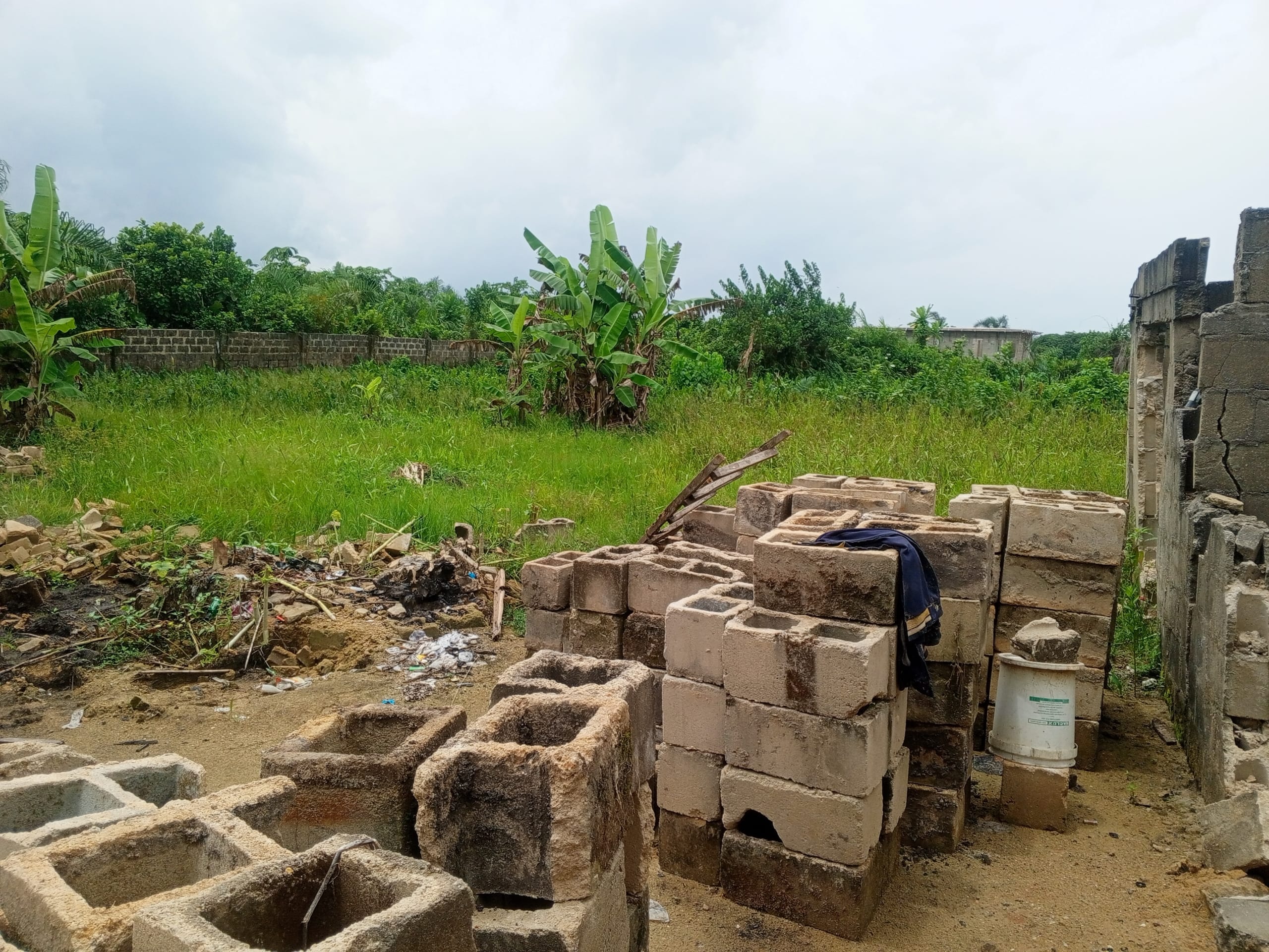 IMG_20250505_122724_879