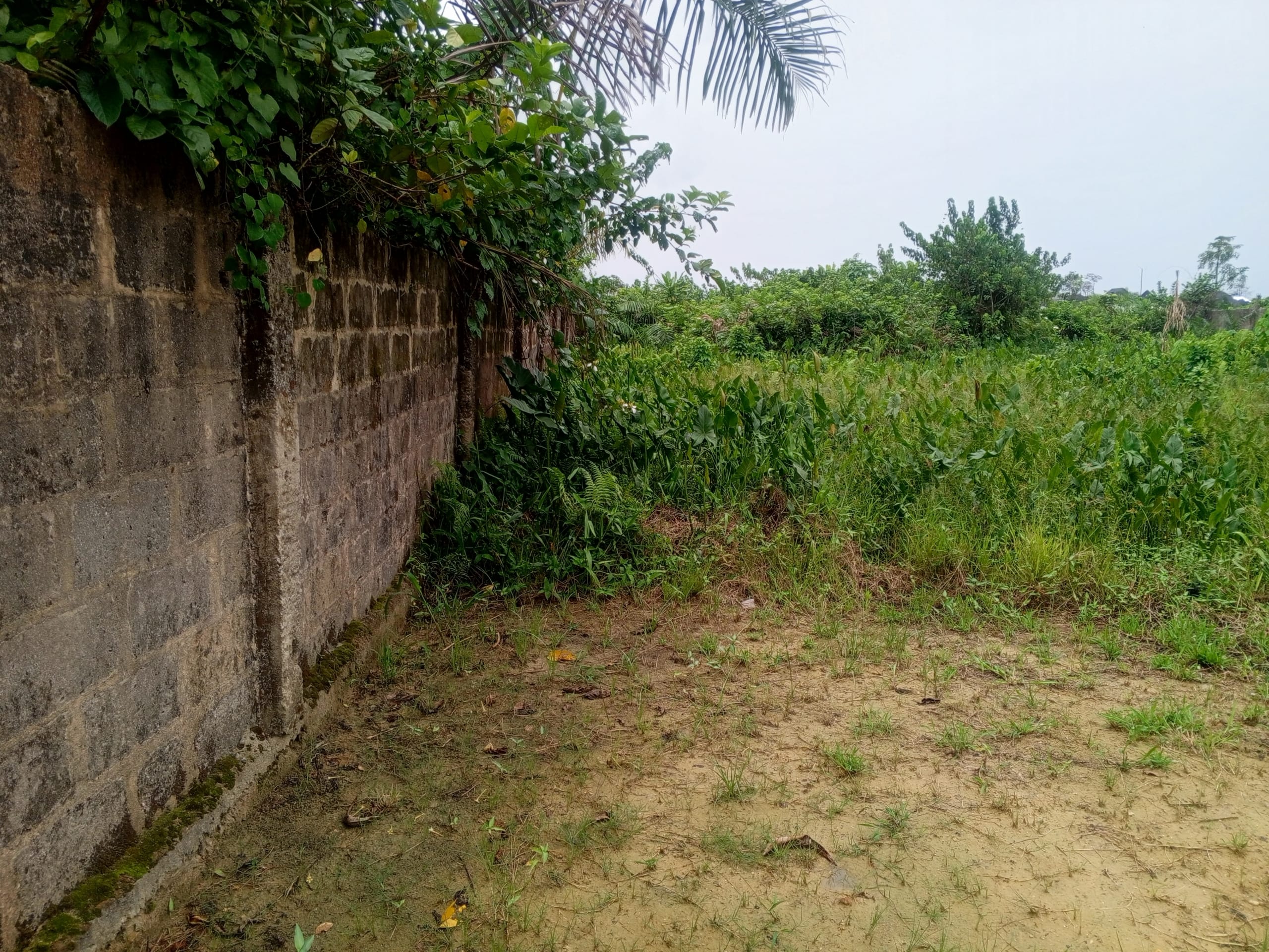 IMG_20250505_122806_425