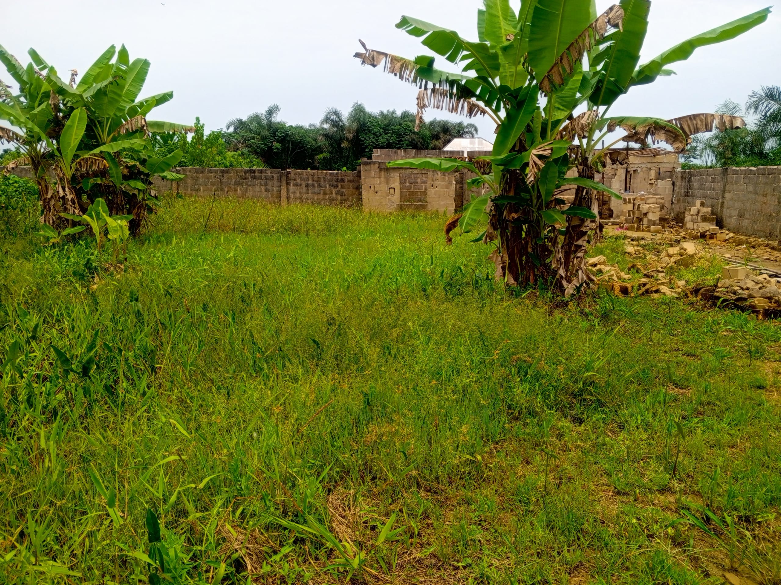 IMG_20250505_122826_897