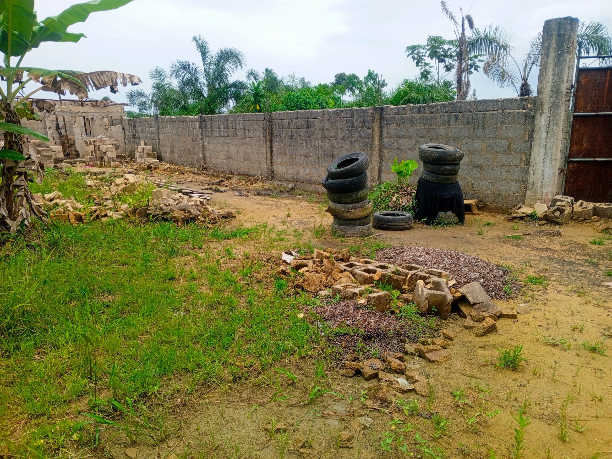 IMG_20250505_122828_608