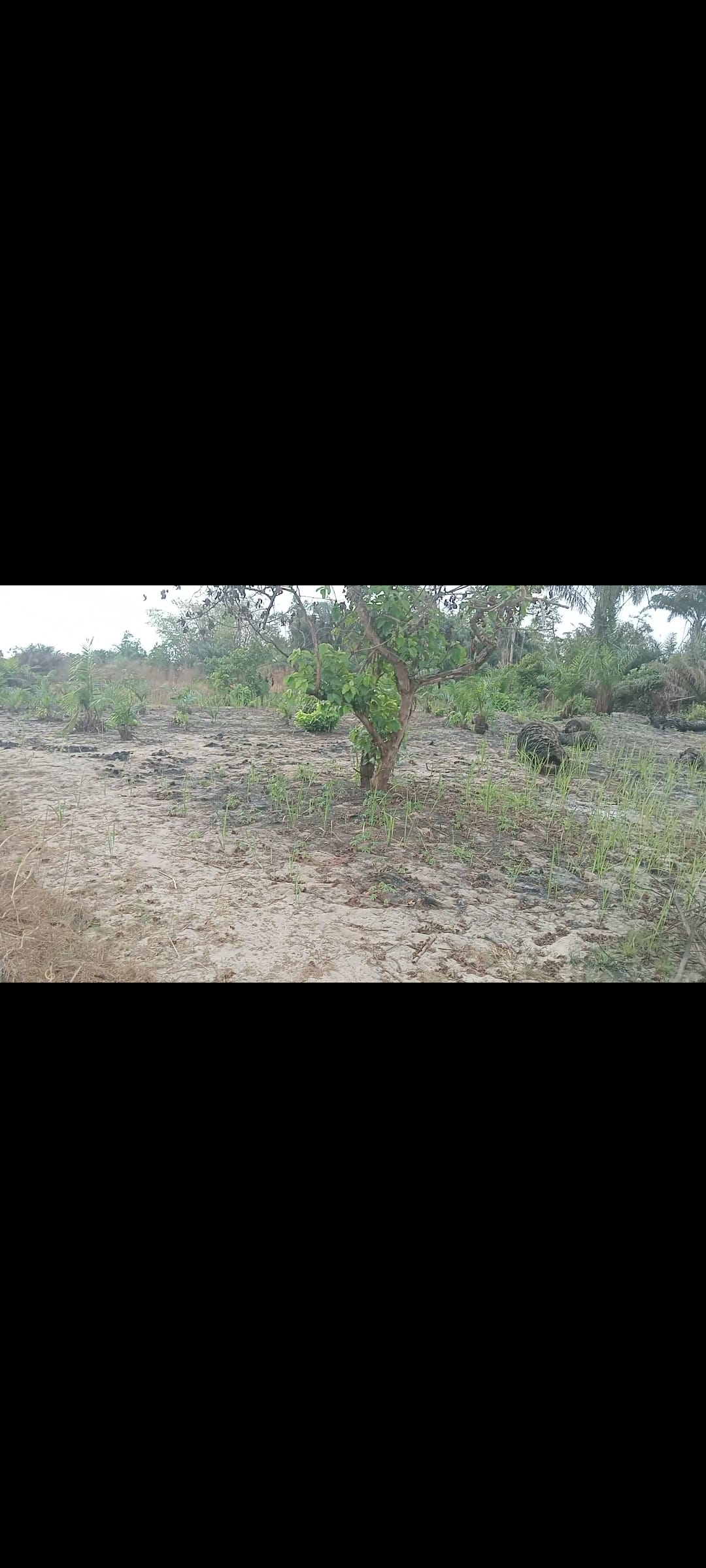 Screenshot_2025-05-19-01-31-04-18_99c04817c0de5652397fc8b56c3b3817