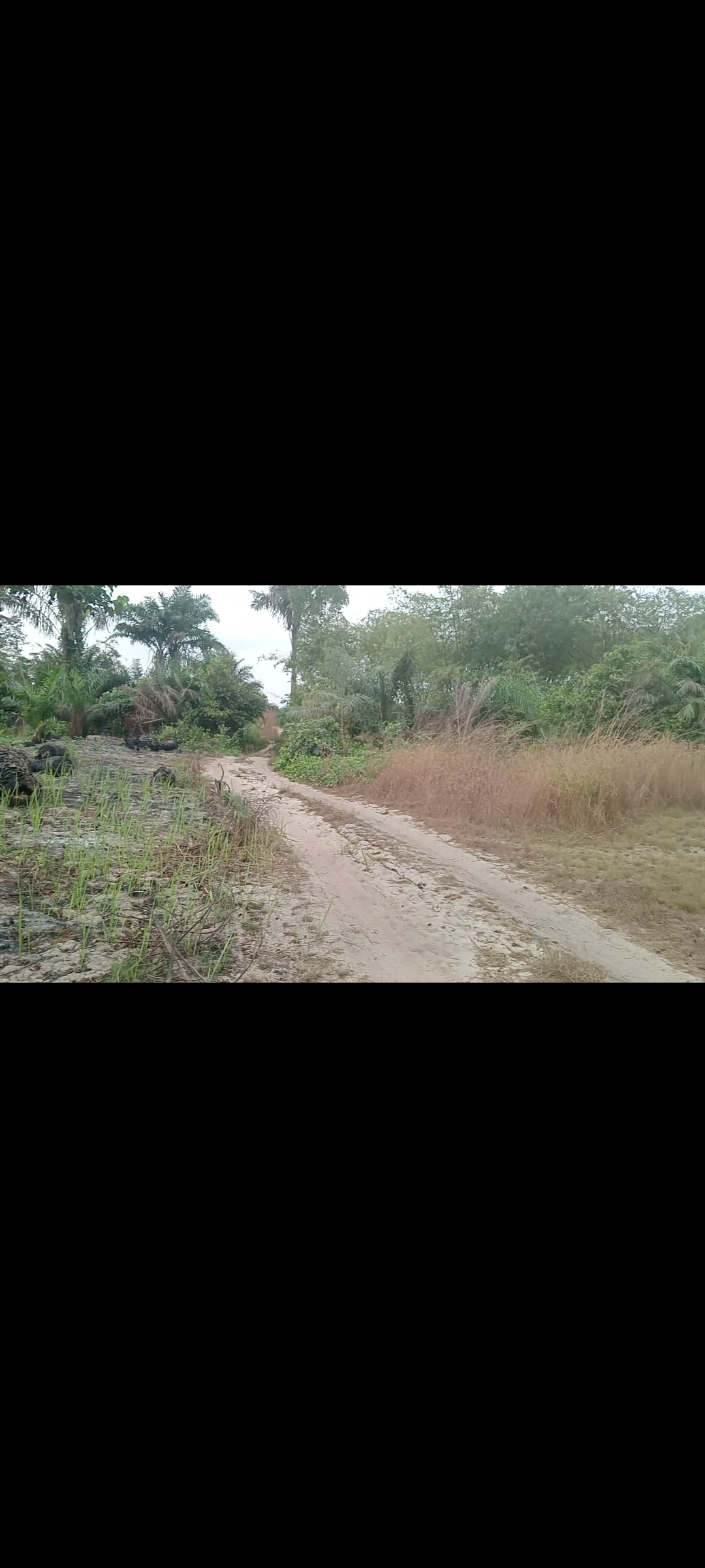 Screenshot_2025-05-19-01-31-37-72_99c04817c0de5652397fc8b56c3b3817