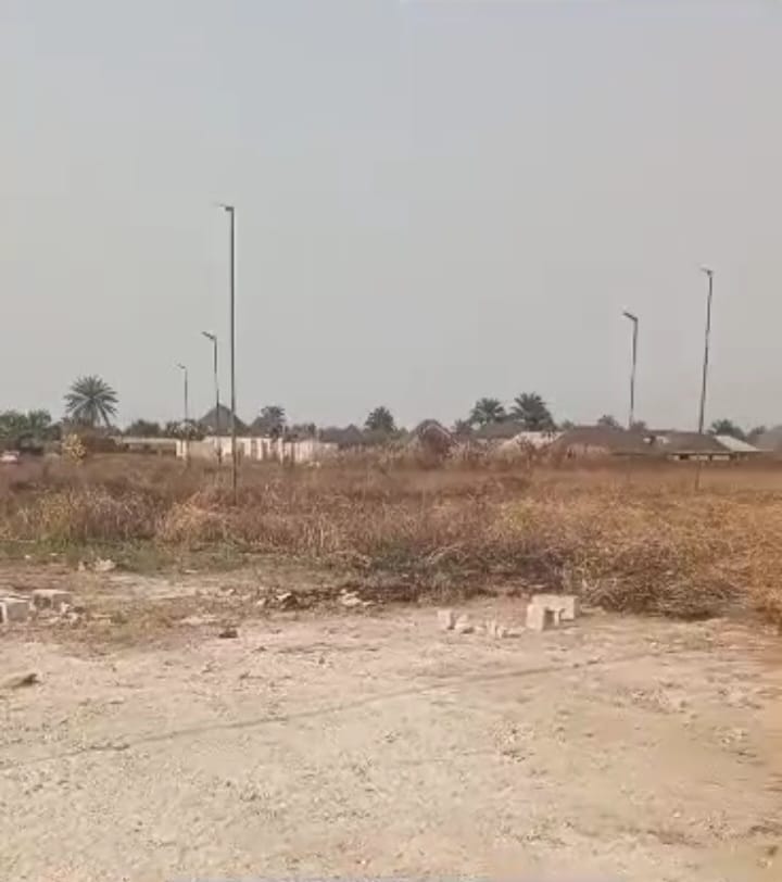 Screenshot_20250528-124223_Phoenix