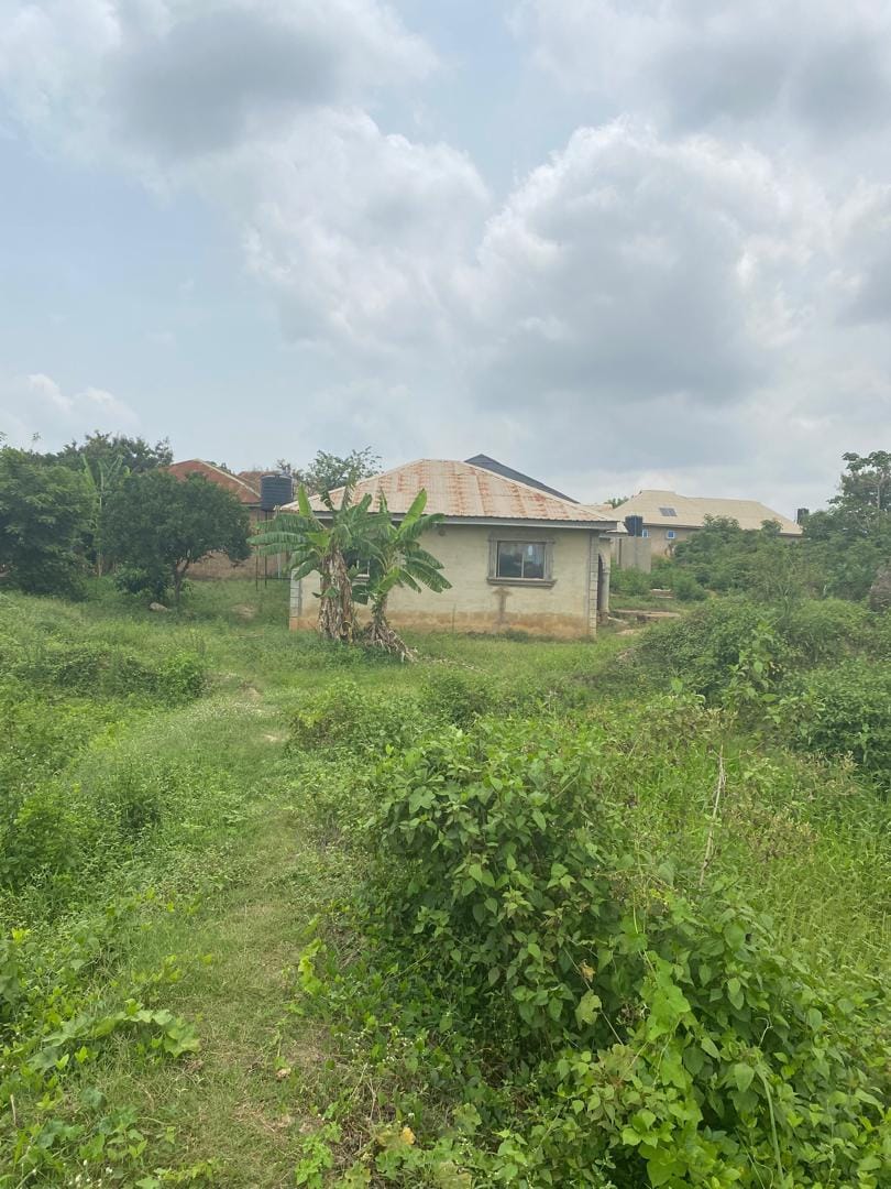 WhatsApp Image 2025-07-08 at 18.28.10_f0706d1a