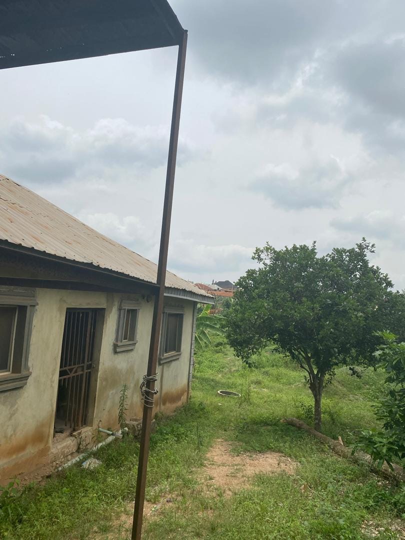 WhatsApp Image 2025-07-08 at 18.28.11_1db4348c