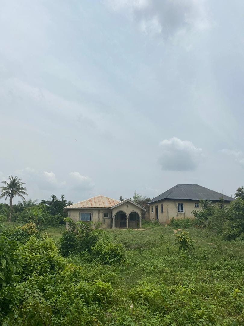 WhatsApp Image 2025-07-08 at 18.28.11_8d2ee933