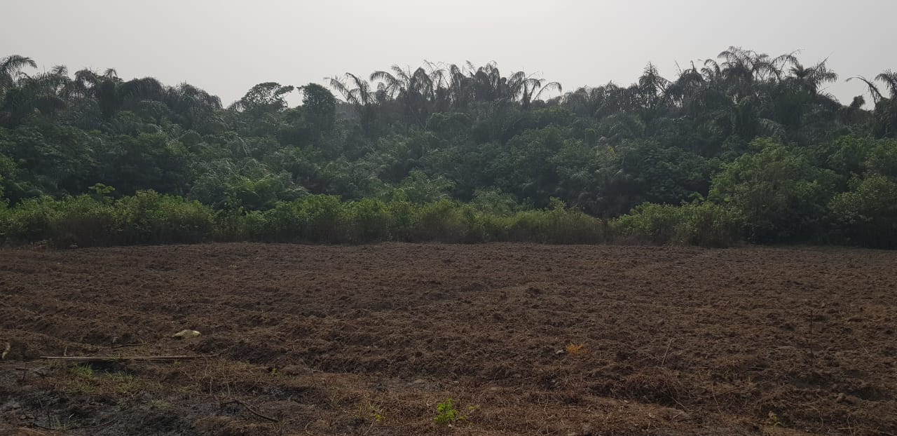 WhatsApp Image 2025-07-23 at 15.53.11_a88b43c1