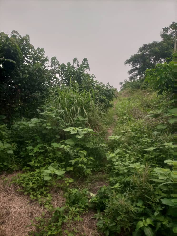 WhatsApp Image 2025-07-25 at 12.45.30_07125f30