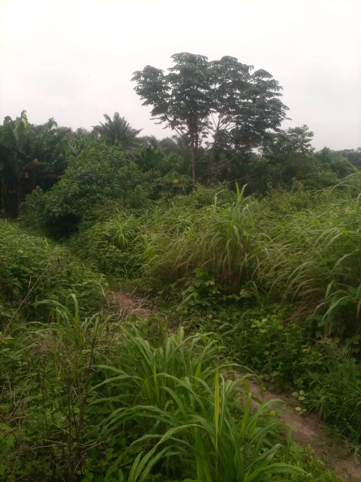 WhatsApp Image 2025-07-25 at 12.48.56_50a6a35a