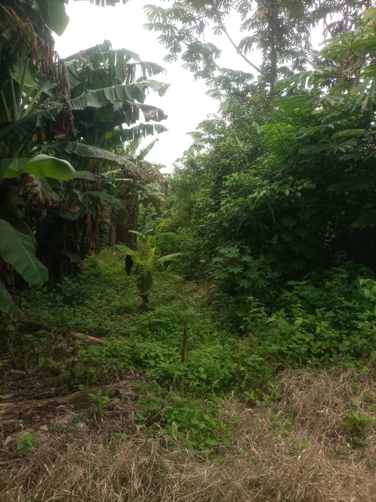 WhatsApp Image 2025-07-25 at 12.50.20_aff5b8ce