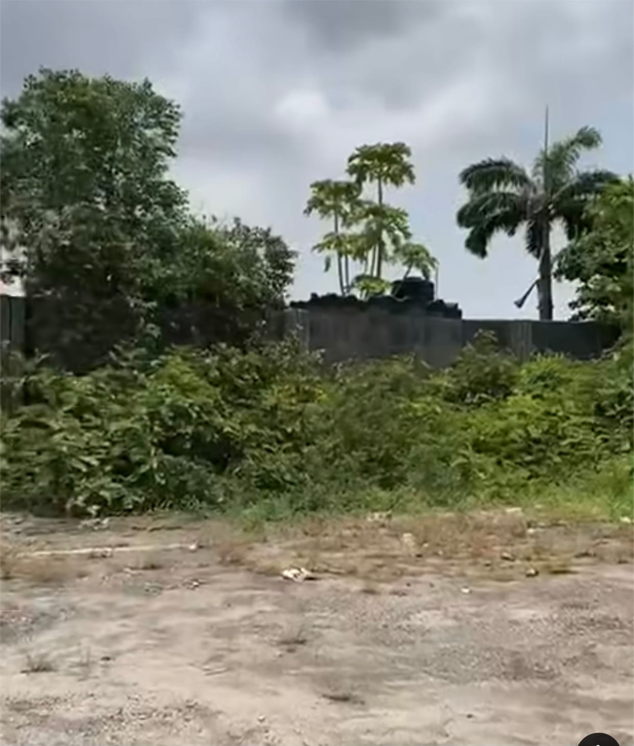 C38F2515-AB4E-454D-BE24-9BEA30EC7F66