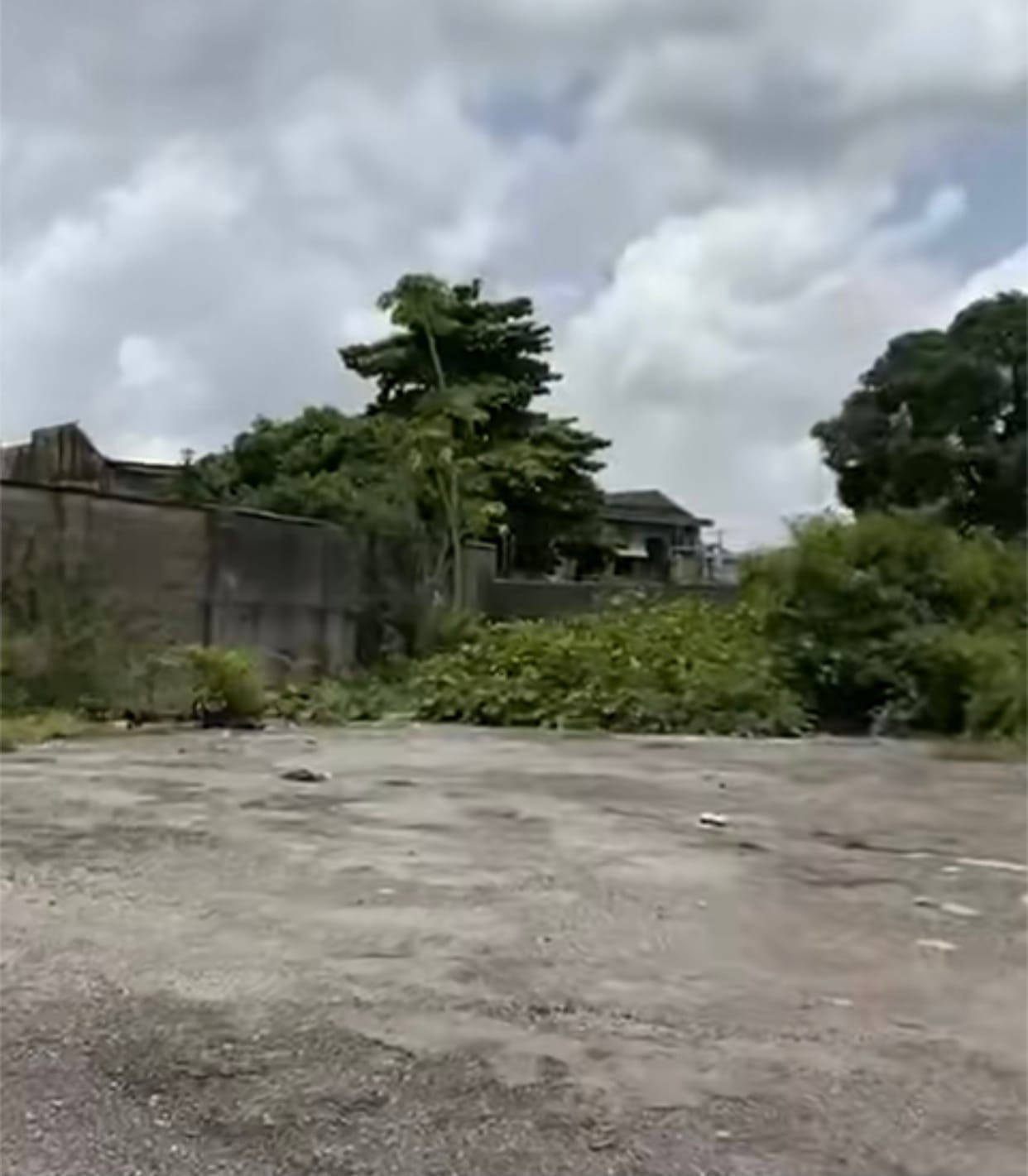 C5B9946E-82BF-4683-9F06-230FABED1B51