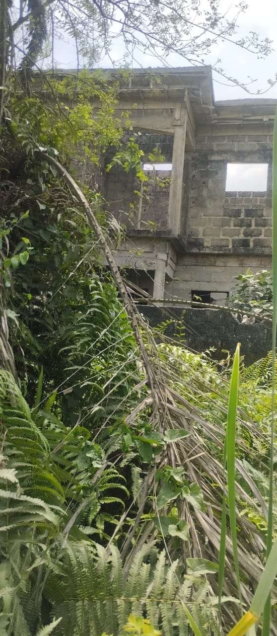 4ebd45e1-dcbd-48c0-9423-6f3df520fcad