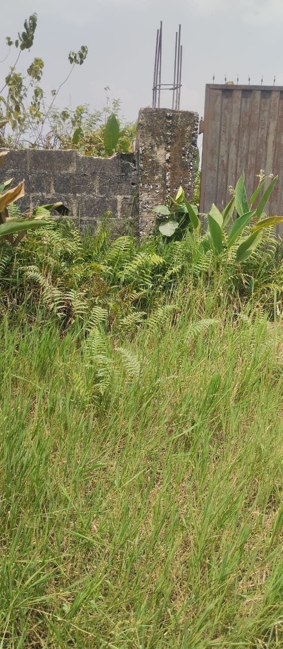 535b073e-69a3-4fd9-a40f-bfbd71b553cc