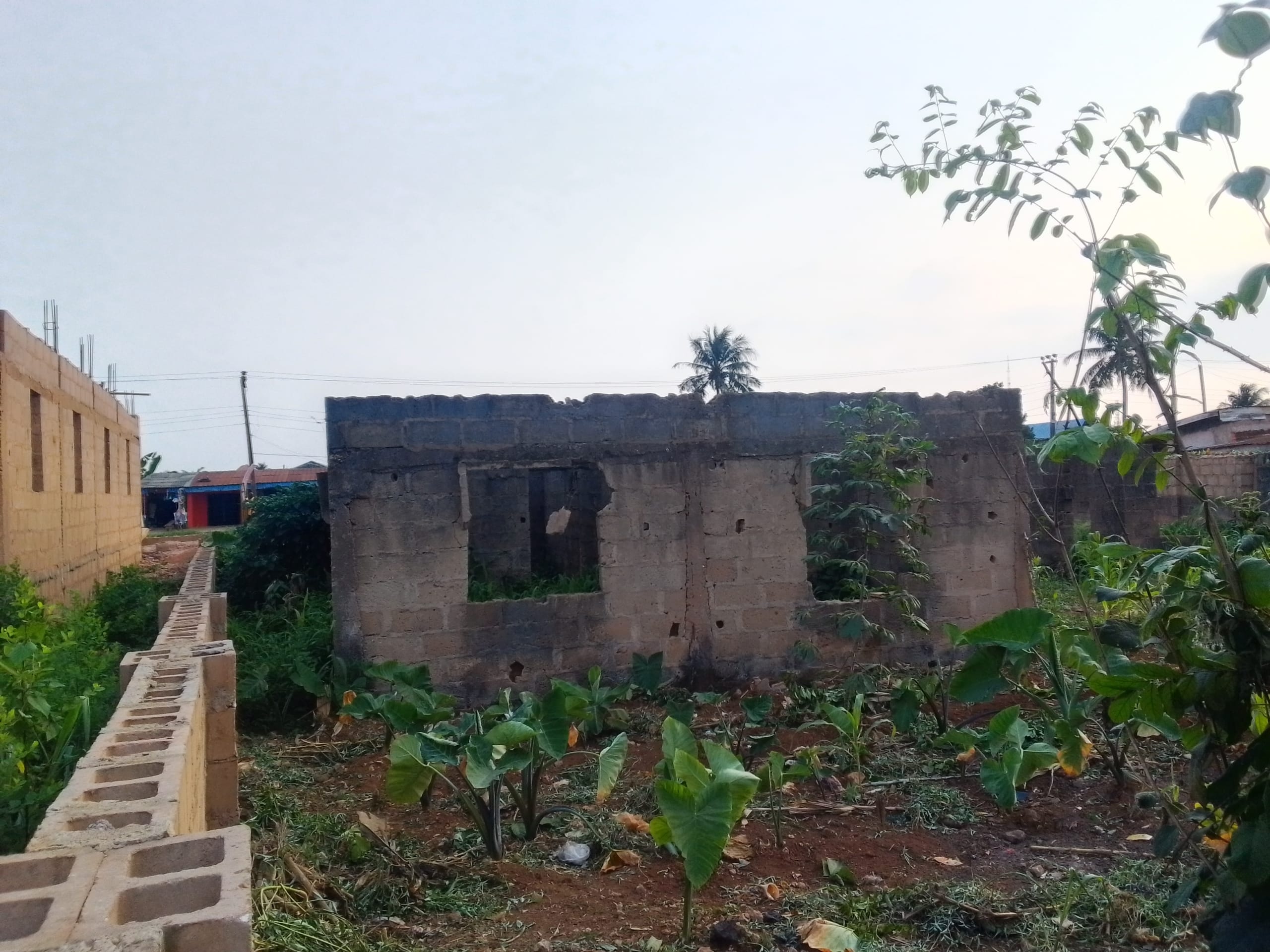 IMG_20250901_180541_851