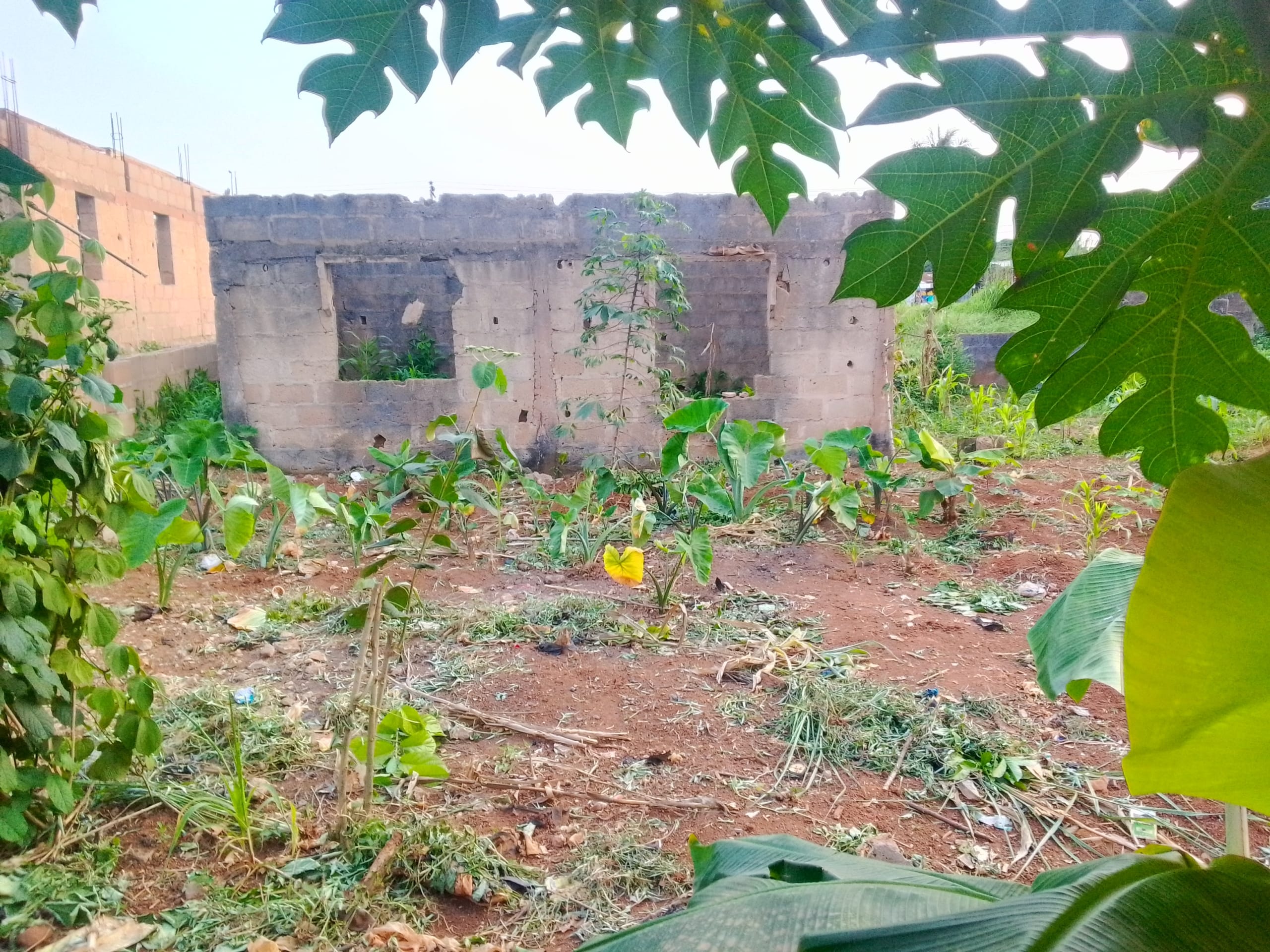 IMG_20250901_180645_504