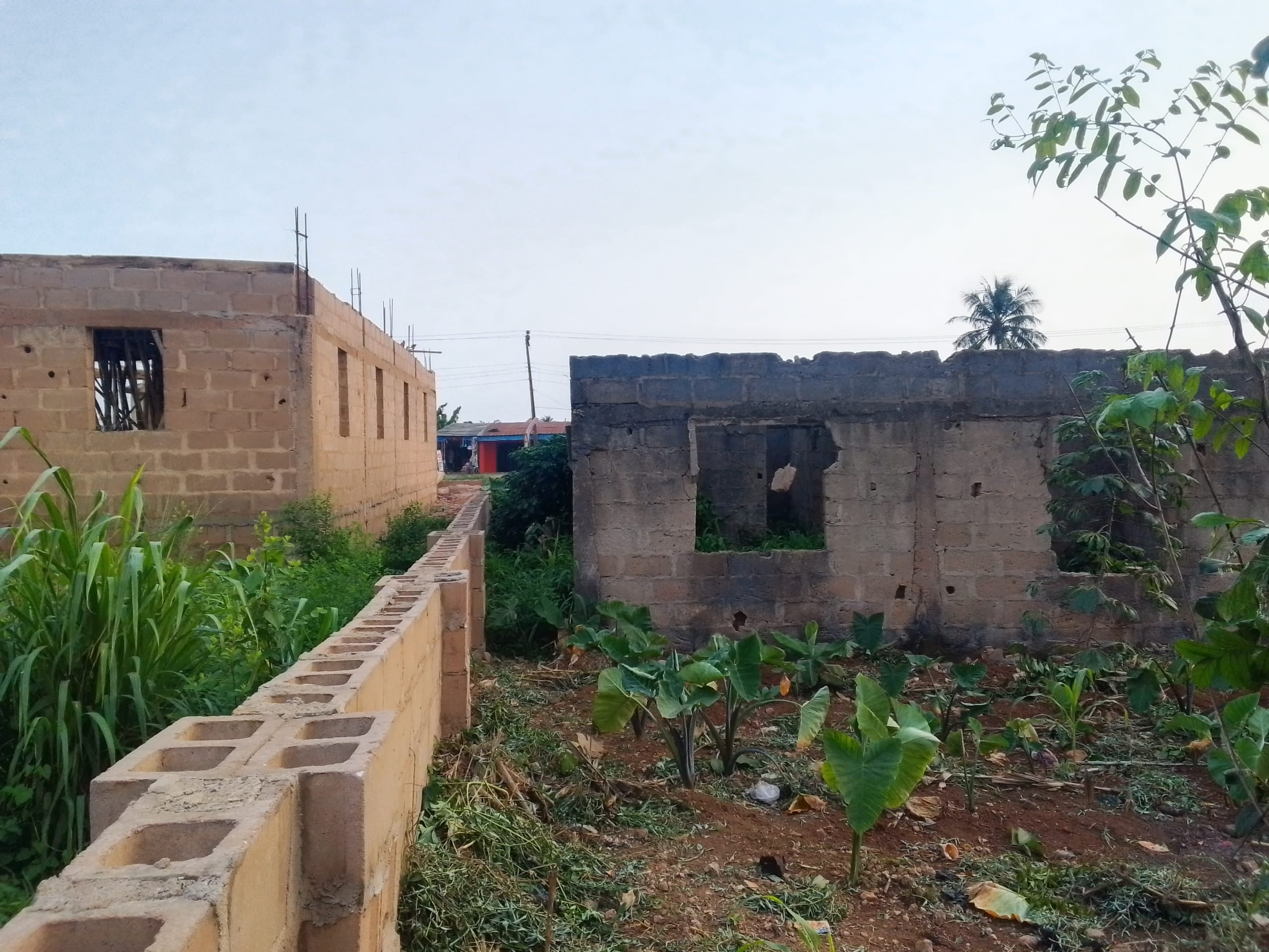 IMG_20250901_180809_255