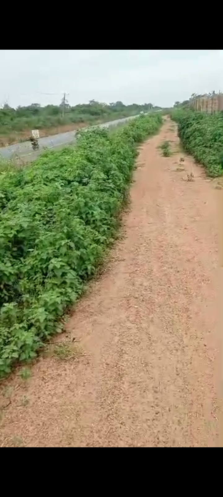 Screenshot_20250929-215918_WhatsApp