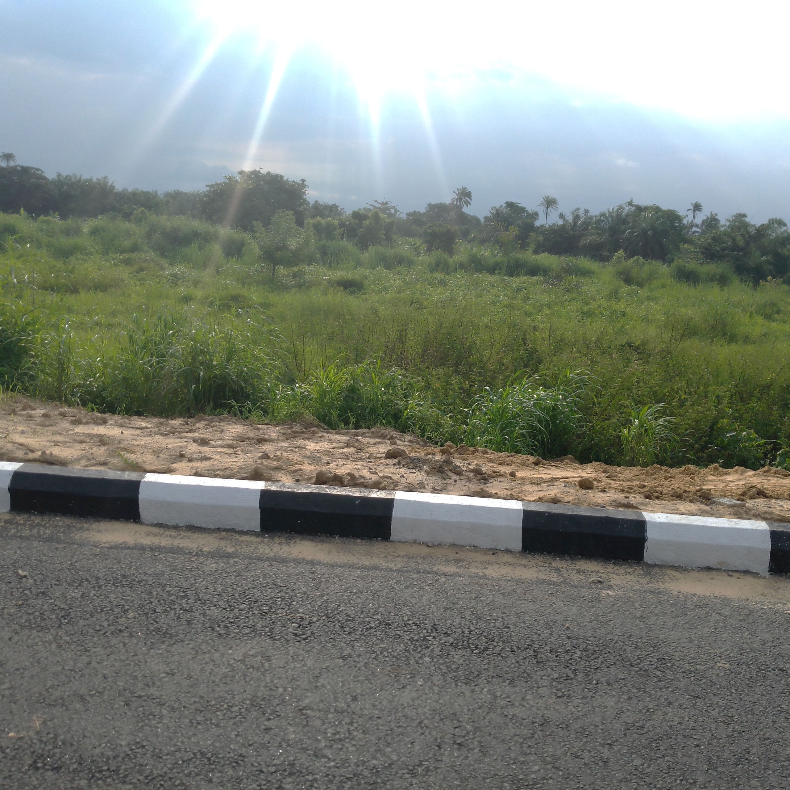 IMG_20250726_170944~2