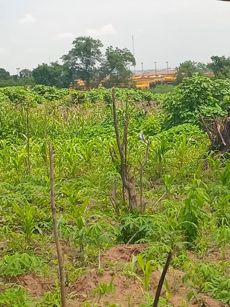 IMG-20251018-WA0032(1)